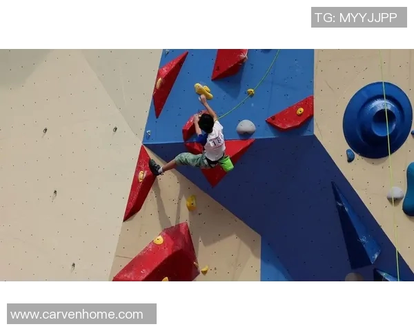 攀岩战术排行榜揭晓上海攀岩队荣登榜首引发热议